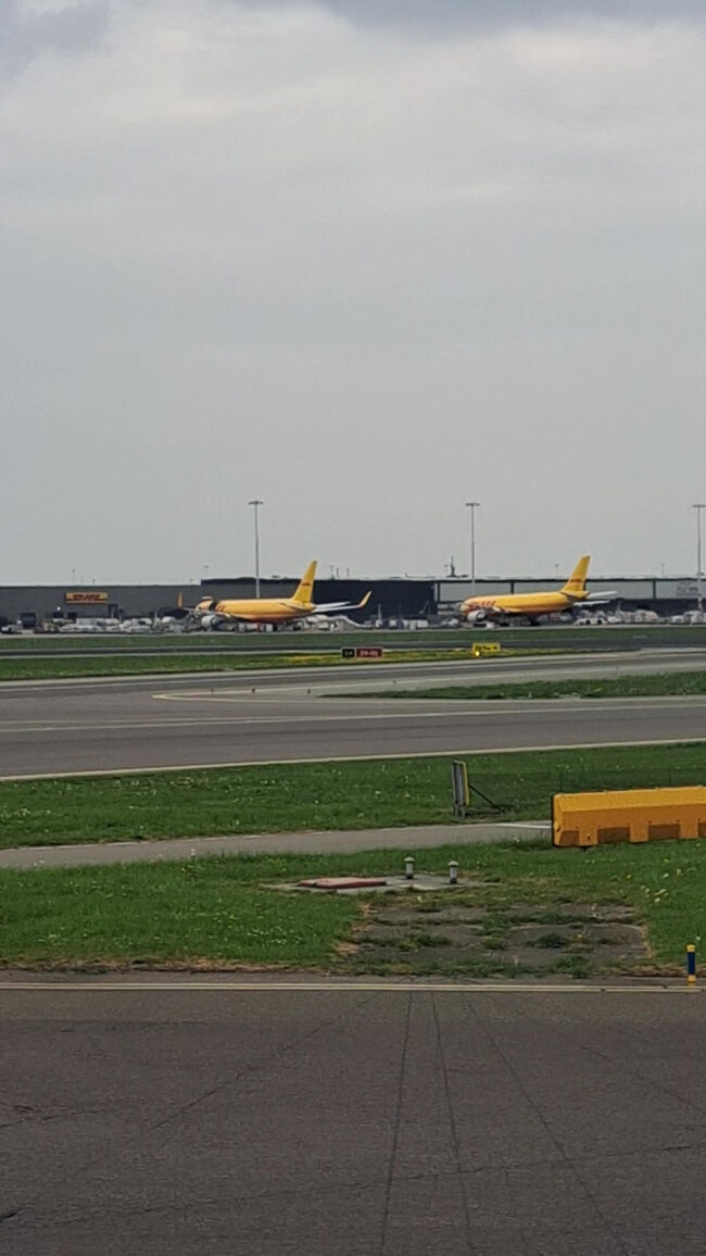 空港の貨物エリアに並ぶDHL機。黄色い機体が目立っていて、物流の力強さを感じます。