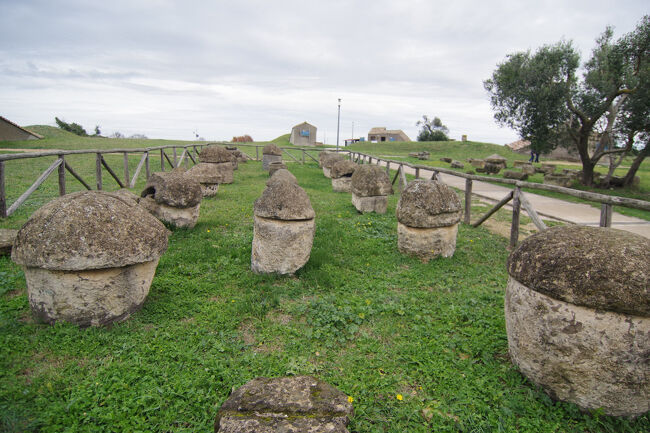 夜ローマ到着後の翌朝、早く起きれなかったのですが、ローマのテルミニ駅から電車でタルクイーニアの街へ。そこから路線バスで街の中心の先にあるネクロポリを訪れました。