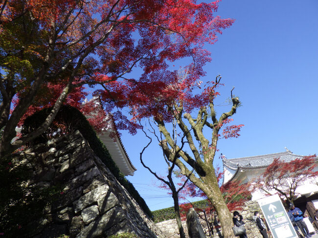 天守閣に上がるのに６０分かかるとの掲示板があります（右下）　<br />天守閣からの紅葉を見たかったが・・・　諦めました