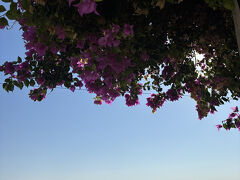 坂を上って展望台に来た。