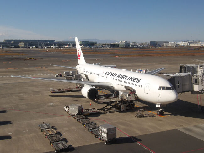 北ウイングの搭乗口へ！<br /><br />北海道のど真ん中！旭川空港へのフライトでお世話になる機材はコチラ。<br />B767-300です。<br /><br />今回なんですが(゜_゜)…、