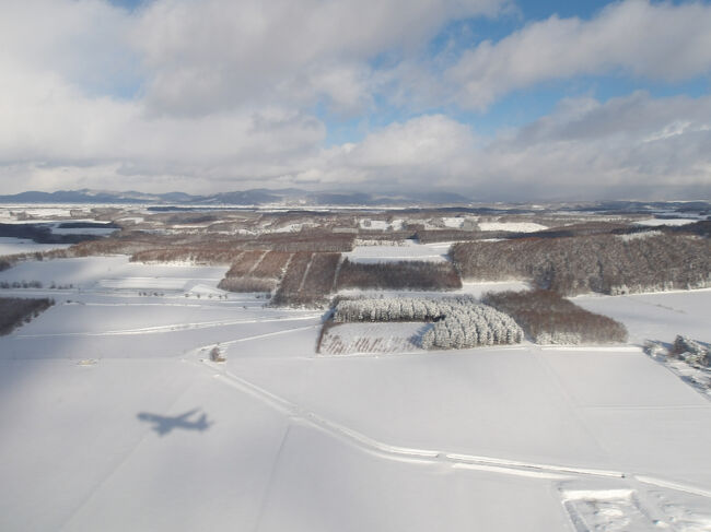 北海道の雄大な風景が見えてきました(^_-)-☆。<br /><br />私の住む埼玉県も含めて、関東地方は晴れ！<br />こんな雪景色なんて絶対に見られません＼(◎o◎)／！<br />機体の影も雪のおかげできれいに映ってます(^_-)-☆。<br />冬だからこそ見えるものです。