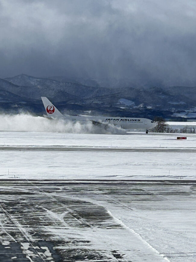 雪しぶきを豪快に巻き上げます！