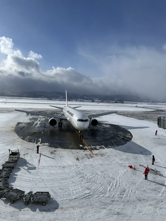 冬でも旭川空港が定時運航できるのもスタッフの尽力なんです。<br />滑走路の除雪などもレベルがすごいようです。<br /><br />と、いうことで予定通りにJAL553便は到着(^_-)-☆。