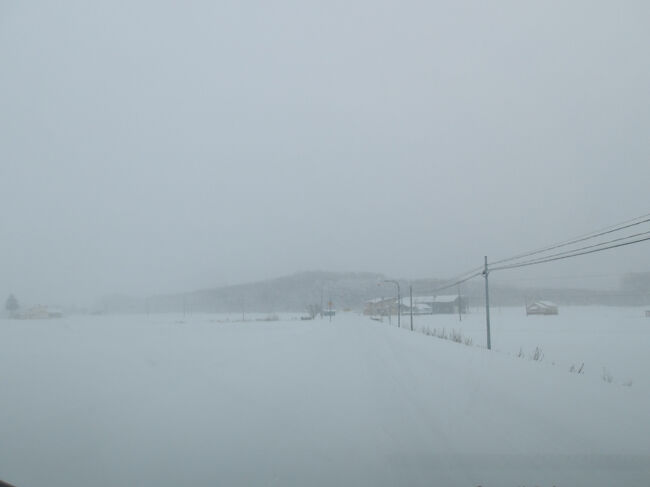 私「これも道なの(￣▽￣;)？」<br />シンさん「道(・_・)！」