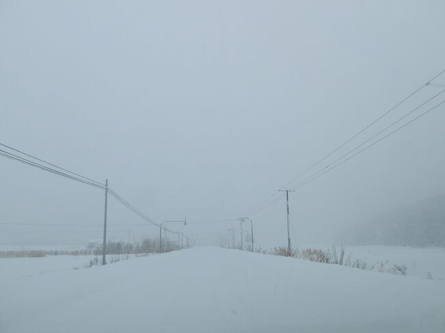 私「道だって分かるの(;''∀'')？」<br />シンさん「充分これだって見えるさね～(※)(・o・)」<br /><br />どこが(￣▽￣;)？<br /><br />(※)「…さね～」<br />北海道の方言。少し年配の方や、親しみを持って話しかける際に使われることが多い表現とのこと。念押し、同意の表現で使われるようです。