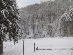 旅行２日目(12月13日)です。
白銀の世界が広がっていました(*´▽｀*)。