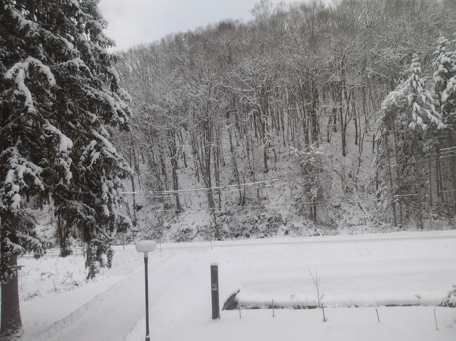 旅行２日目(12月13日)です。<br />白銀の世界が広がっていました(*´▽｀*)。