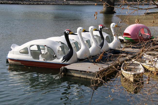 スワンボートとタンチョウボート