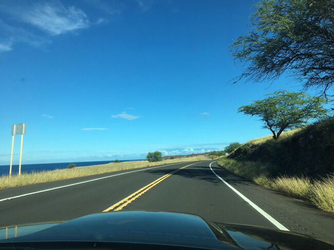 北に向かってひたすら走ります。<br />正面にはハレアカラが見えます。