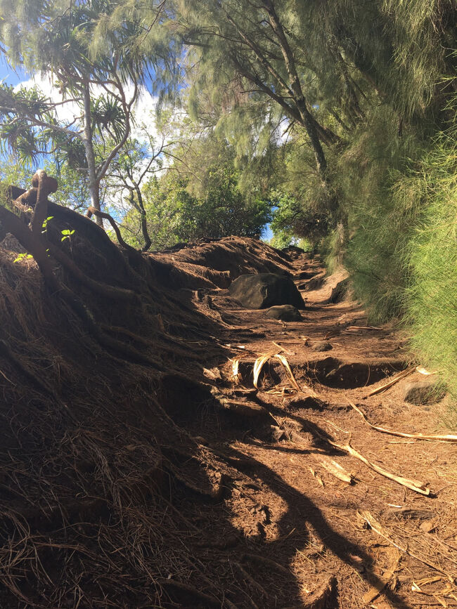 トレッキング開始