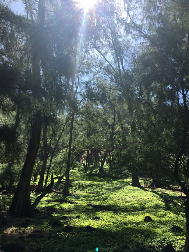 １０月は緑が美しい季節