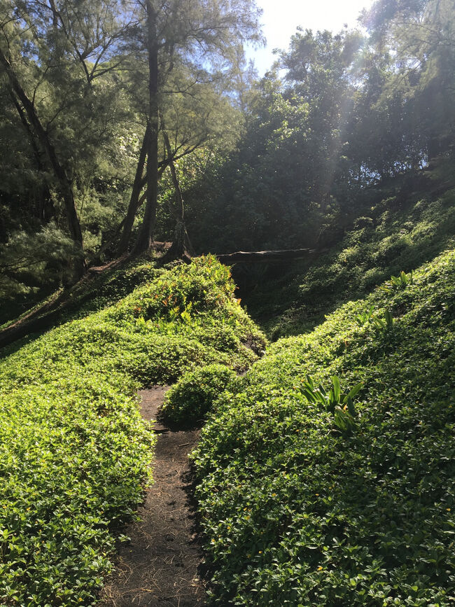 ジブリの映画に出てきそうな景色