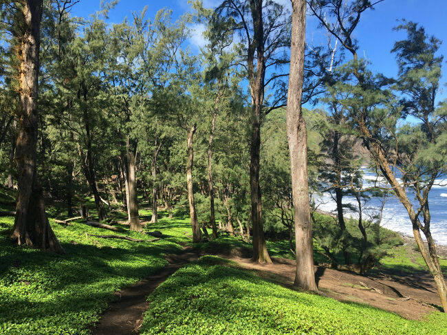 草の緑と空の青・海の青が美しい