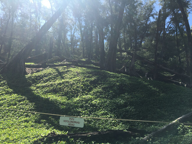 ロープの先は立ち入り禁止