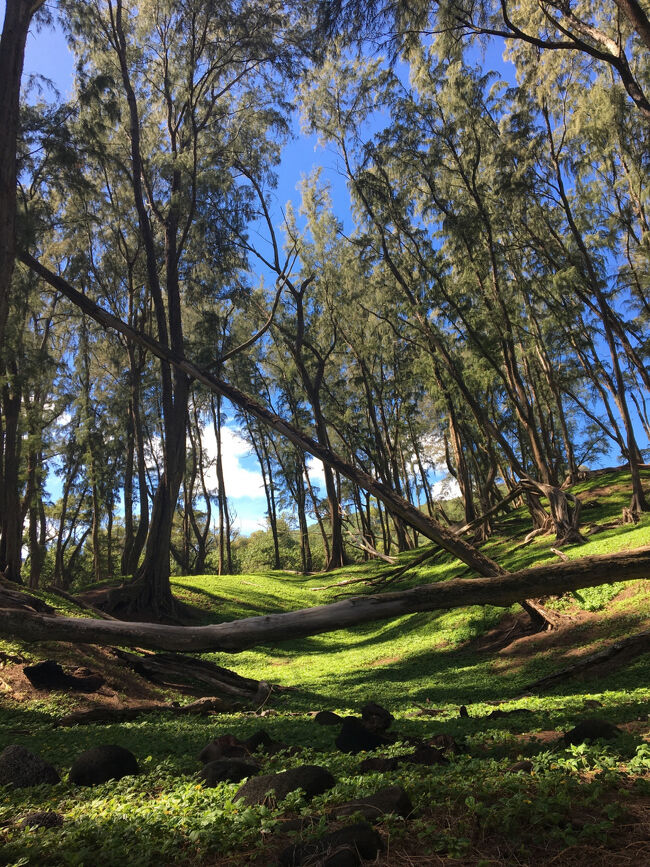 空気も美味しくて、ゆっくり過ごしたい場所