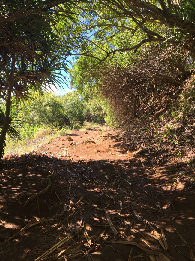 最後の急こう配