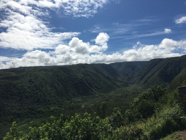 火山の島とは思えない程、緑が豊か