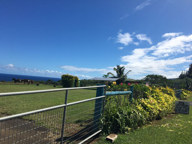 小休憩にぴったりの　Ｆｒｅｓｈ　ｏｆｆ　ｔｈｅ　Ｇｒｉｄがありますが、今日はお休み。<br />ミュール君にはまた会いに来る予定。