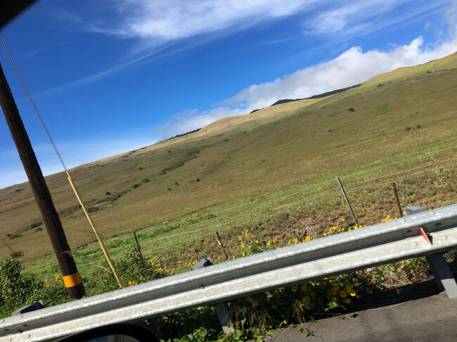 ワイメアからの帰り道