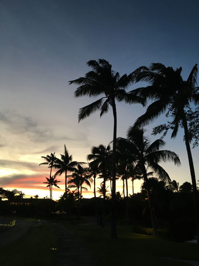 本日のマジックアワー