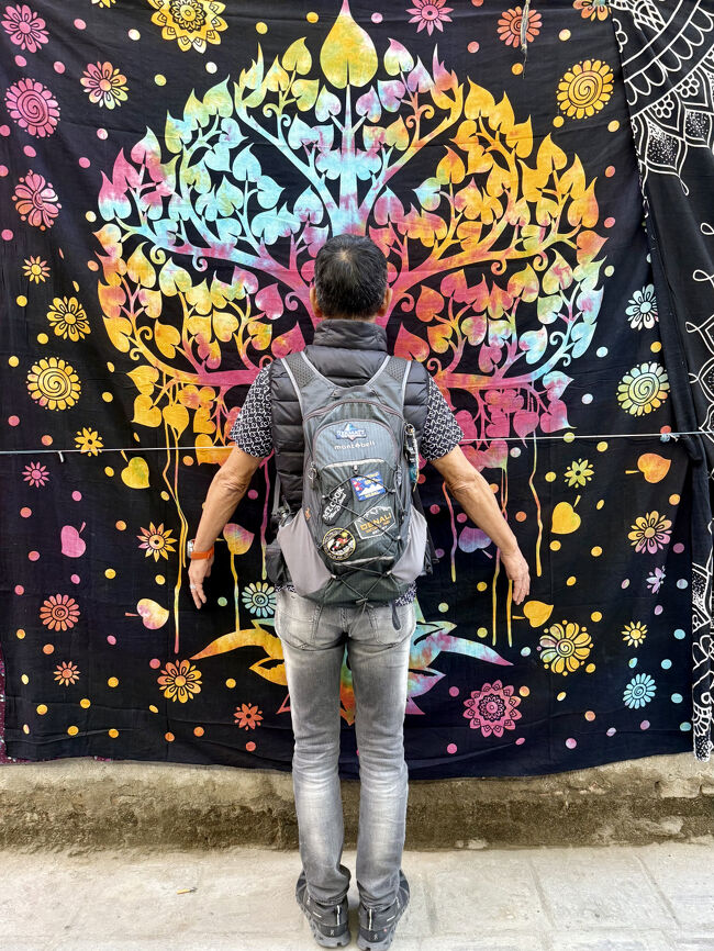 向かいの壁に向かいで派手なもの発見、これで極楽浄土に行けるでしょう