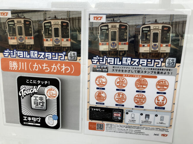 こんなものになっているんですね。