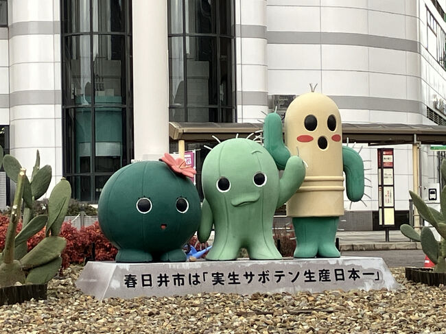 サボテンってどうやって生産しているんだろうか。