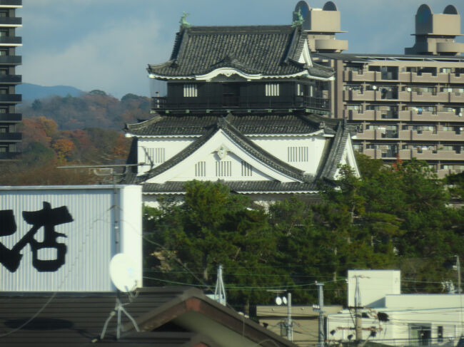 もしかして拝めるかもと構えていたら、建物の間からわずかに見えた岡崎城。