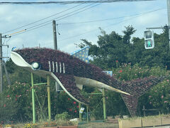 さあいよいよ美ら海へ！