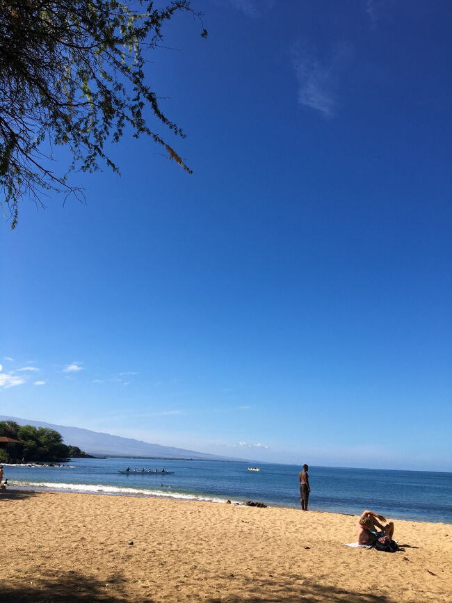 ロコ達もそれぞれの楽しみ方で過ごしています