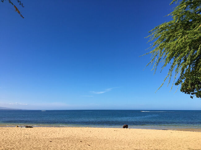 水上バイクを楽しむ人を見て楽しむ我が家（笑）