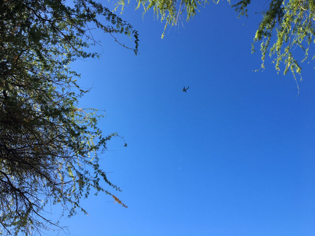 ハワイに滞在していると、訓練飛行をよく見ます