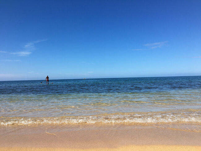 透明度が高いことがよく分かります