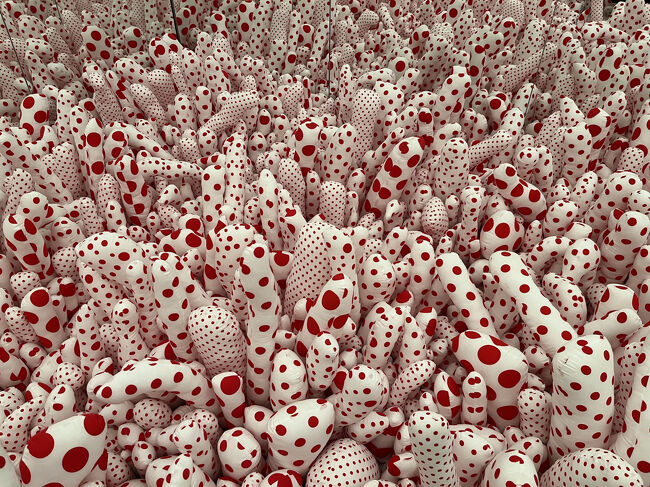 草間さんお得意の、ミラールームの作品（全体を撮ると自分が写り込んでしまうので部分だけ）。<br />「無限の鏡の間―ファルスの原野1965/2013年」