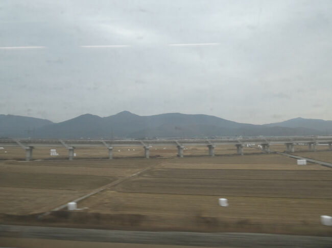 　東海線が見えてきました。