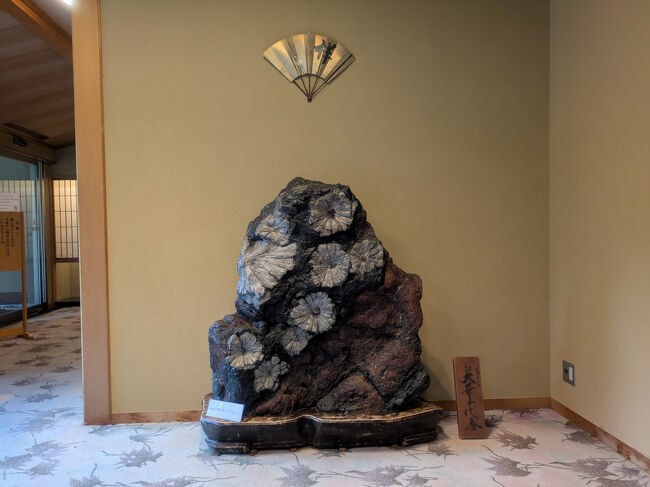 菊花石<br />ツアーだと手で触れられる。