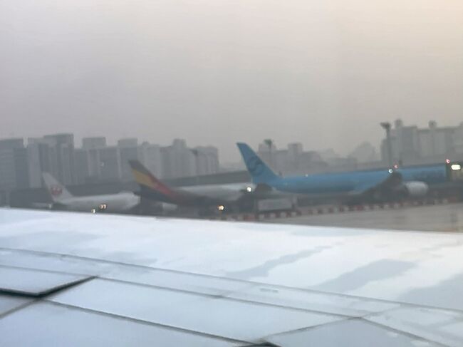 　動き始めました。<br />　寝不足と朝からのビールでうつらうつら(笑)