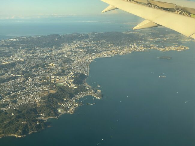 　防衛大学校あたり