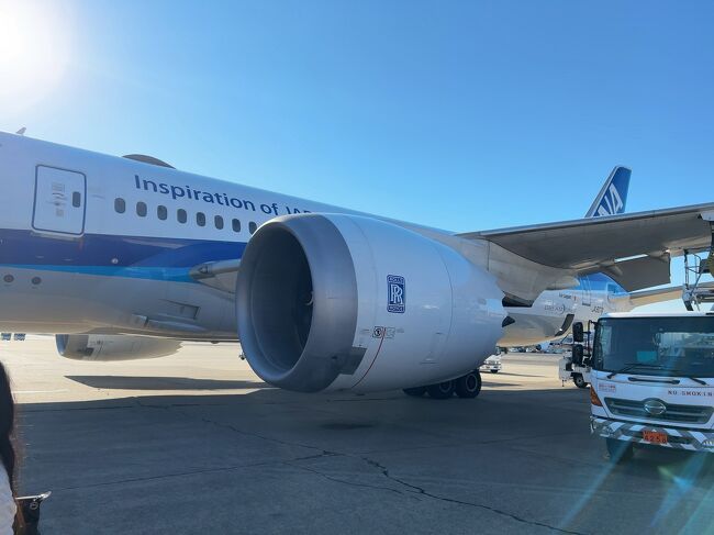 　おかげで近くから写真撮れます。