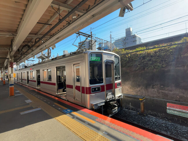 　行ったり来たりしているのでしょう。