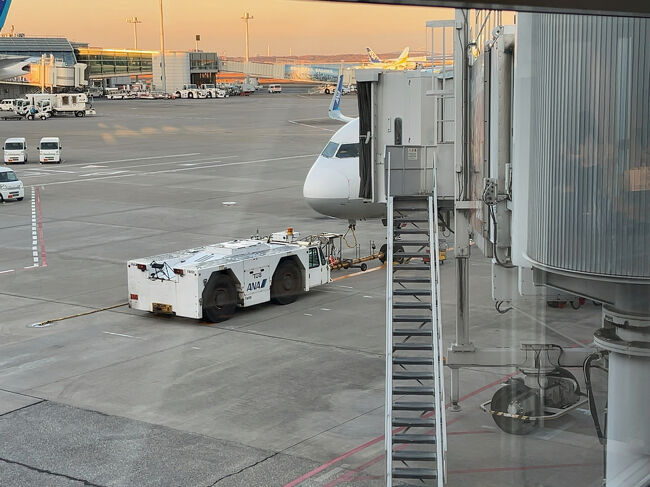 　こちらの機体に乗ります。<br /><br />　羽田空港16:15　→　富山空港17:15（NH319便）