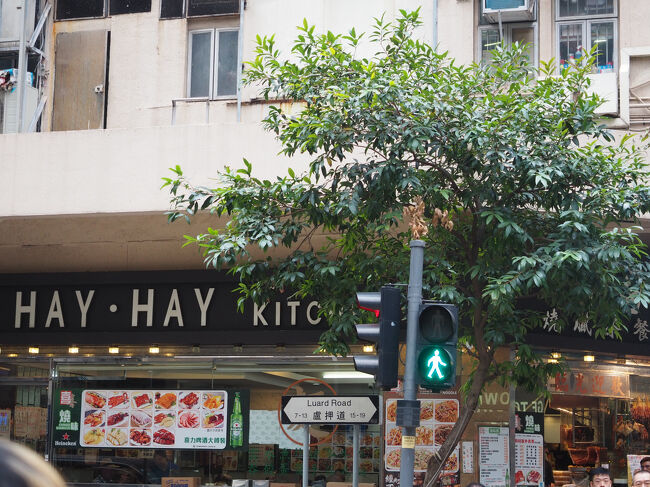 目的地に到着！ランチ、いただきます！