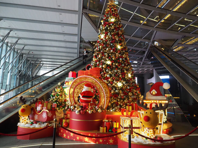 見ているだけで楽しい( *´艸｀)