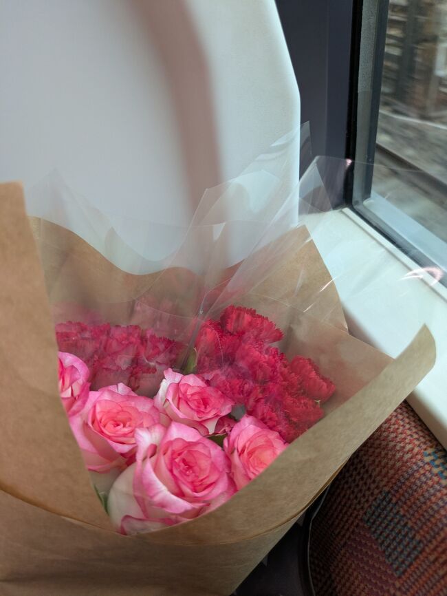 自宅から<br />①名古屋（愛知県）<br />②羽田（東京）<br />③大井町（東京）<br />④松戸（千葉県）<br /><br />①ワシントン（アメリカ）<br />②アンティグア（グアテマラ）<br />③ボゴタ（コロンビア）<br />④クスコ（ペルー）<br />⑤マチュピチュ（ペルー）<br />⑥プーノチチカカ湖（ペルー）<br />⑦ラパス（ボリビア）<br />⑧トロント（カナダ）<br />⑨アムステルダム（オランダ）<br />🔟プラハ（チェコ）<br />①ウィーン（オーストリア）<br />②トビリシ（ジョージア）<br />③イスタンブール（トルコ）<br />④バンコク（タイ）<br />⑤アユタヤ（タイ）<br />⑥北京（中国）<br /><br />⑦関空（大阪）<br /><br />日本が　5都市　<br />海外が　16都市（13カ国）<br /><br />先ずは、猫草さんとこに花を買いに行き、松戸の友達宅へ<br />格安で品質がよく、友達にすごくすごく喜ばれた。<br /><br />友達として、花代無料にしてもらい感謝感謝。<br />（お礼は渡せず、、）