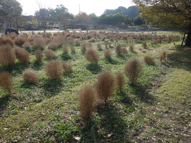 日出をおもいだします。