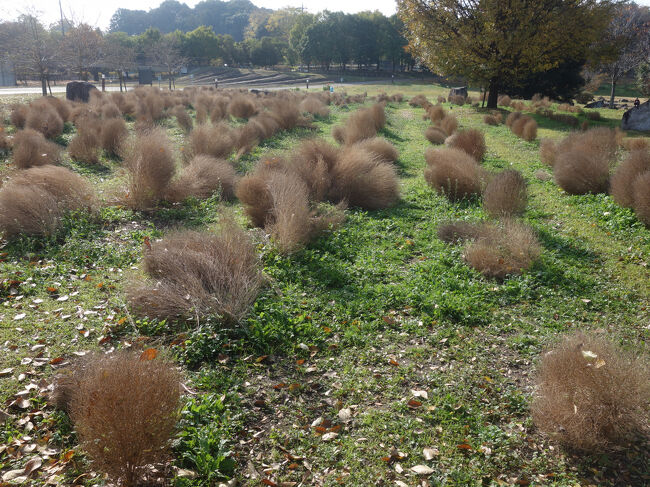 まったく違う風景。