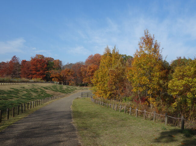 馬見丘陵公園。