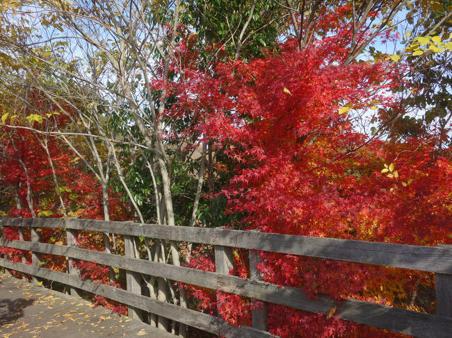 いいところです。