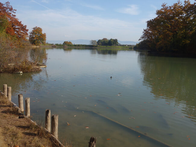 いけもあります。